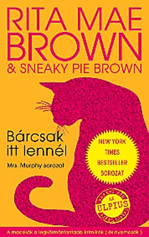 Bárcsak itt lennél