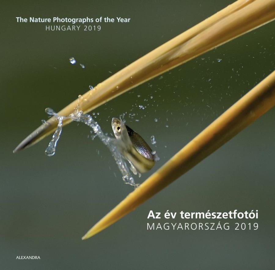 Az év természetfotói - Magyarország 2019