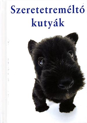 Szeretetreméltó kutyák