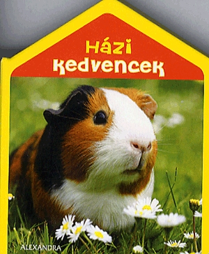 Házi kedvencek