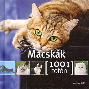 Macskák 1001 fotón