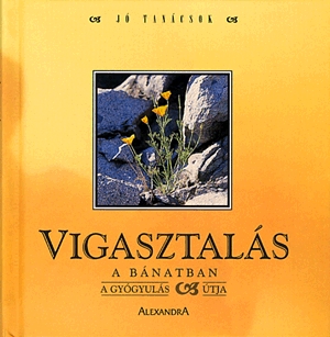 Vigasztalás a bánatban