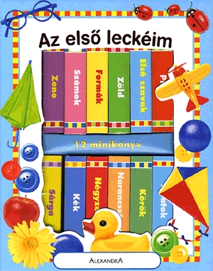 Az első leckéim