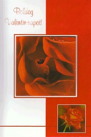 Valentin-napi képeslap 05603941