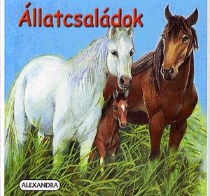 Állatcsaládok