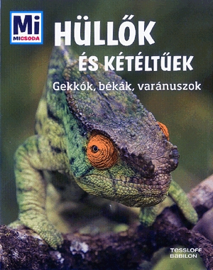 Hüllők és kétéltűek