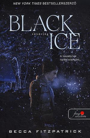 Black Ice - Tükörjég