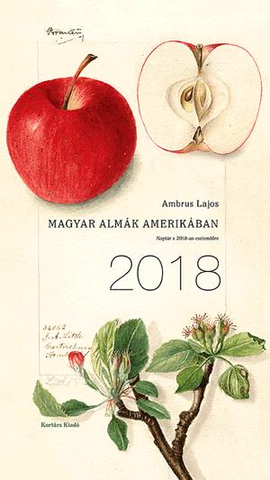 Magyar almák Amerikában