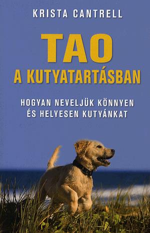 Tao a kutyatartásban