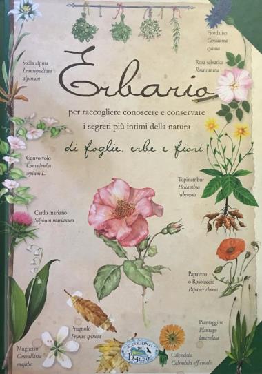 Erbario di Foglie, Erbe e Fiori