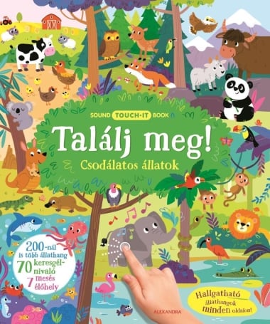 Találj meg!