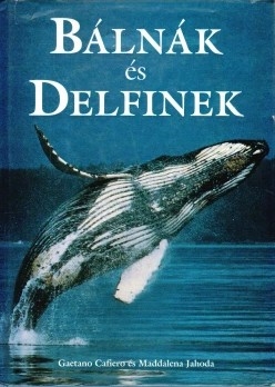 Bálnák és delfinek